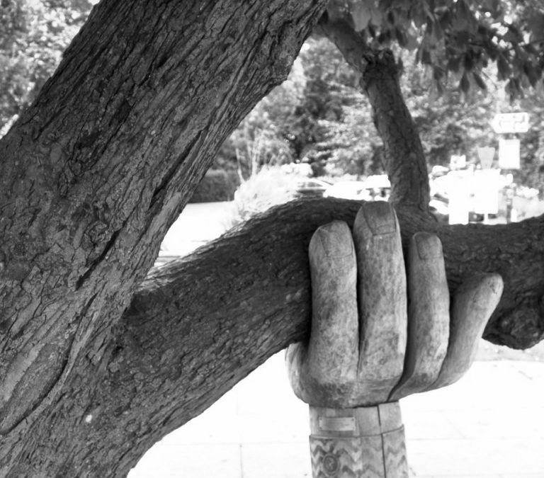 Wonky Conker Tree and Helping Hand, Bideford Quay, England