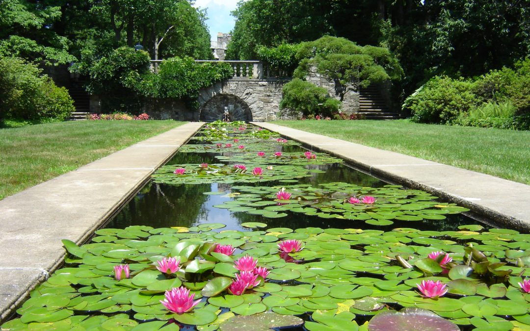 Skylands and the New Jersey Botanical Gardens