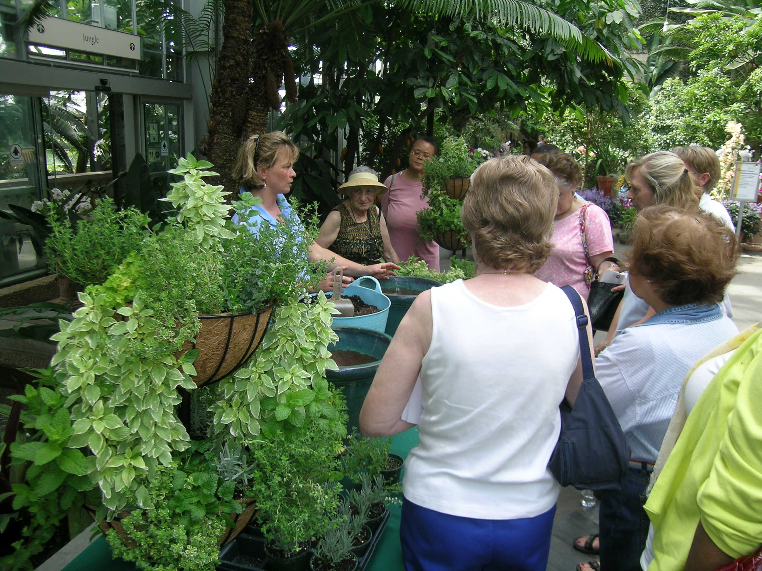 Herb Day Celebration at the United States Botanic Garden, Washington, D