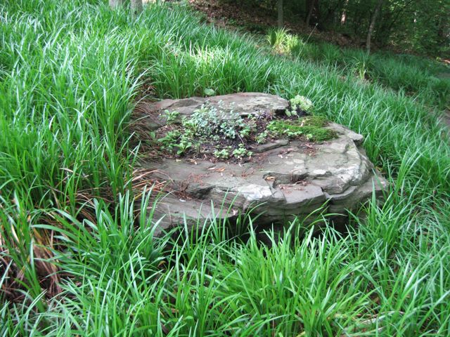 Stone in Landscape, Garden Tour Sponsored by Horticultural Society of Maryland